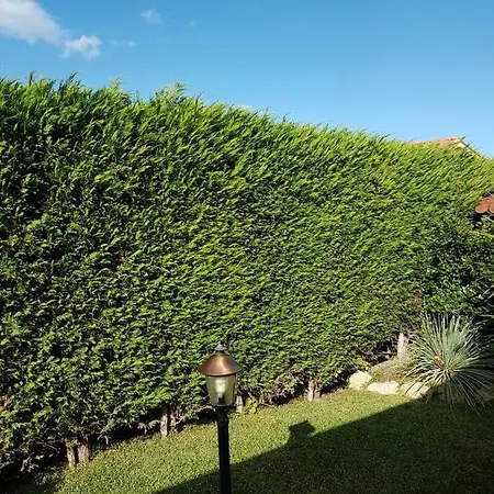 Apartament Garden Rose Campofelice Di Roccella